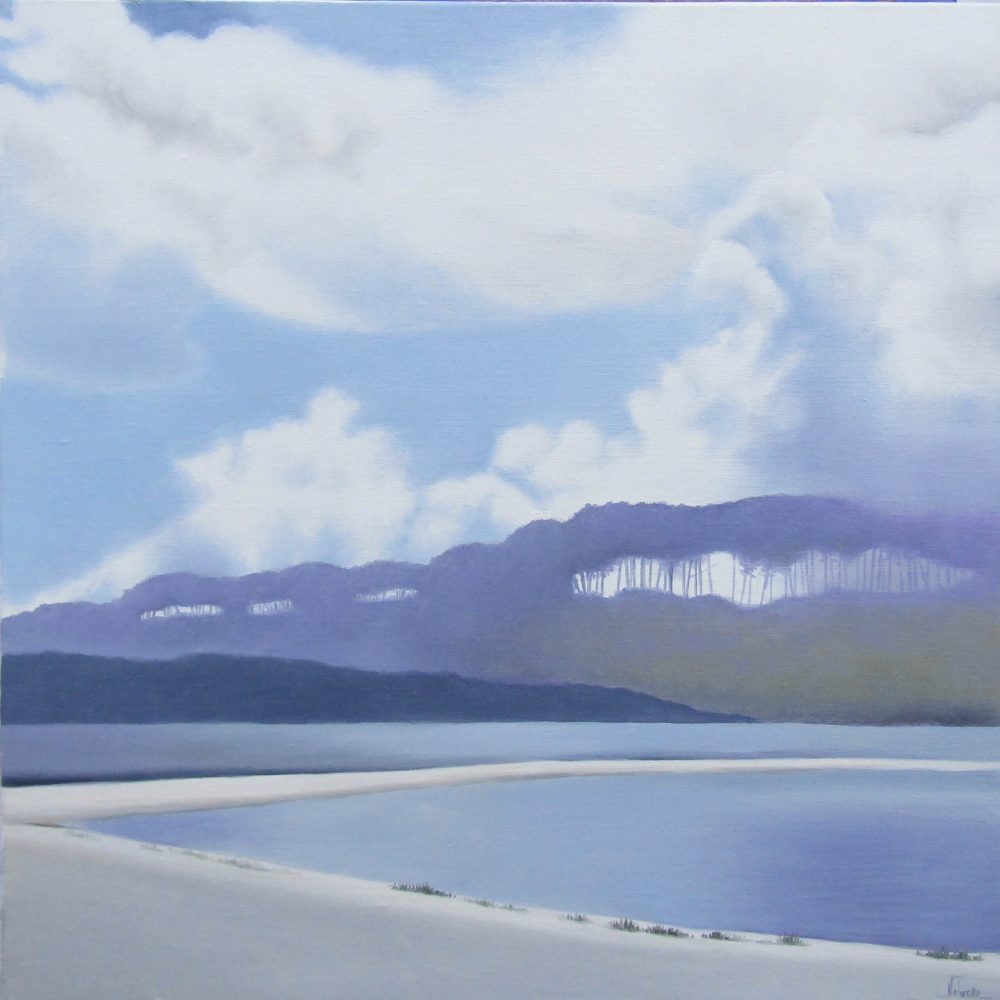 Huile sur toile signée Nolwenn Languille